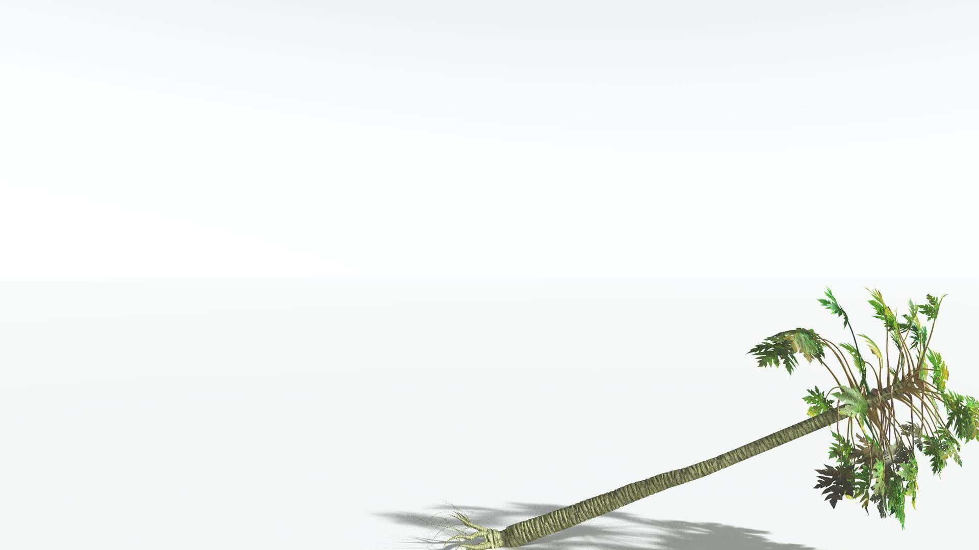 EVERYPlant Papaya 3 --14 Models-- 3D model_19