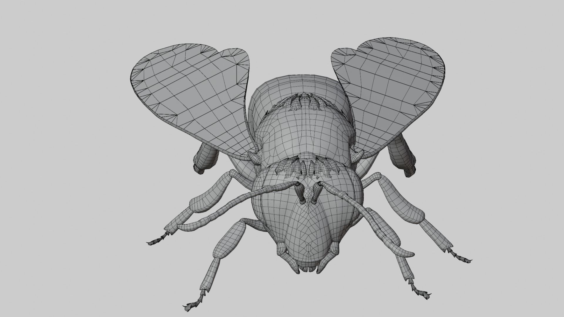 3D animated bee Low-poly 3D model_3