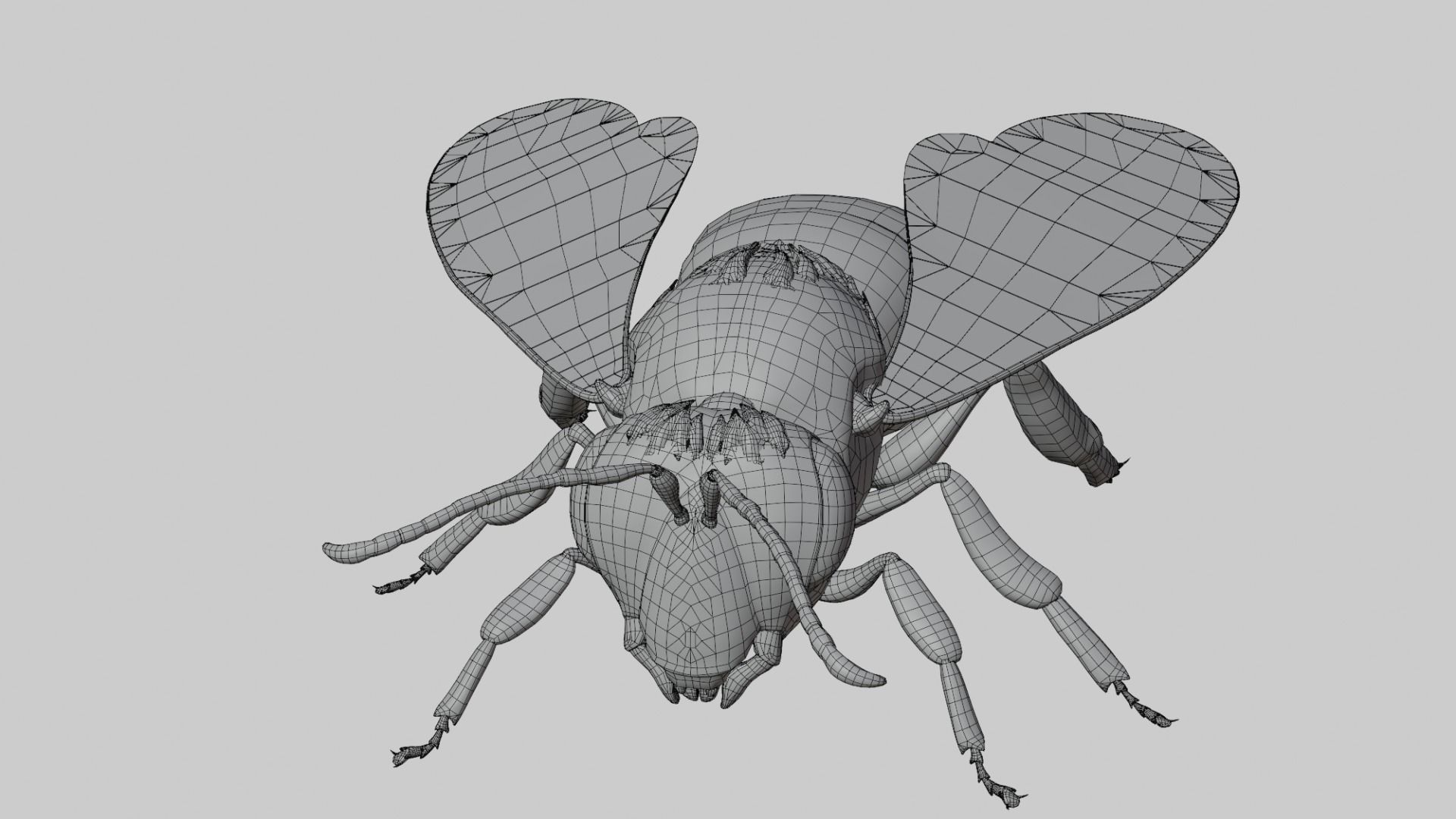 3D animated bee Low-poly 3D model_7