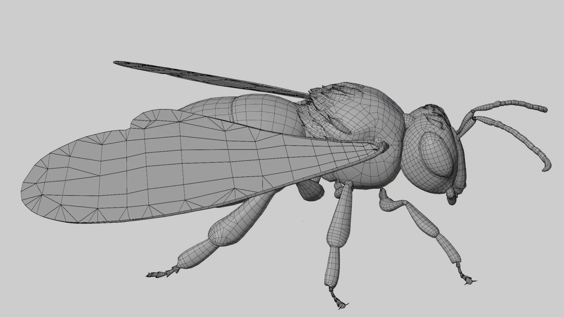 3D animated bee Low-poly 3D model_4
