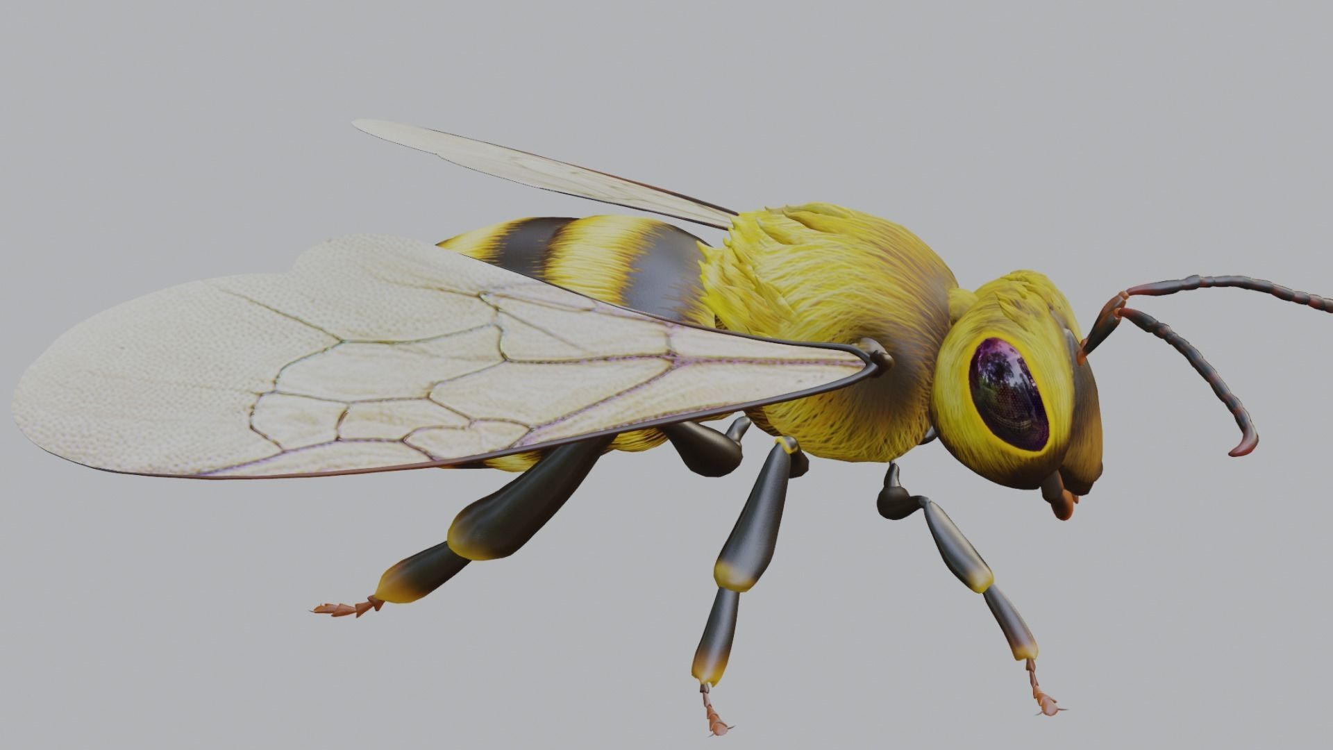 3D animated bee Low-poly 3D model_15