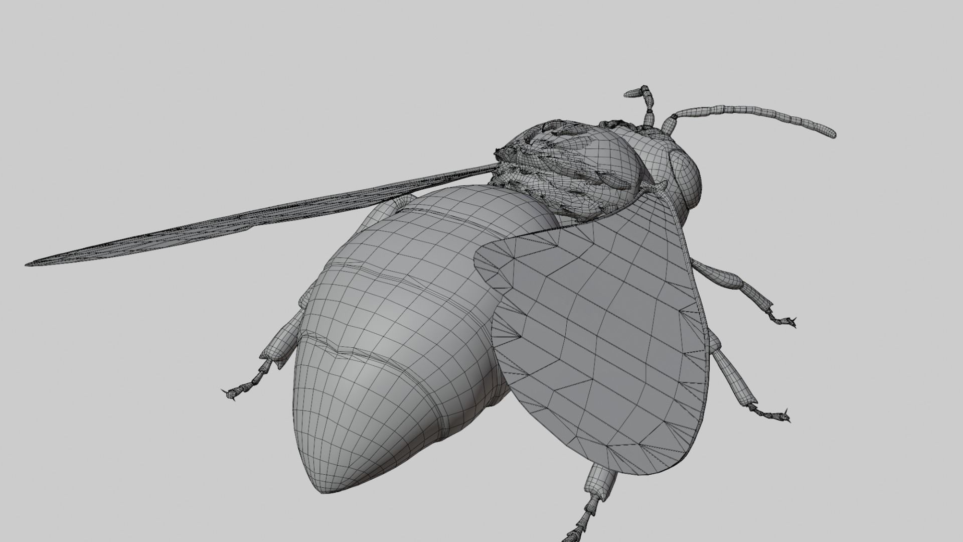 3D animated bee Low-poly 3D model_2