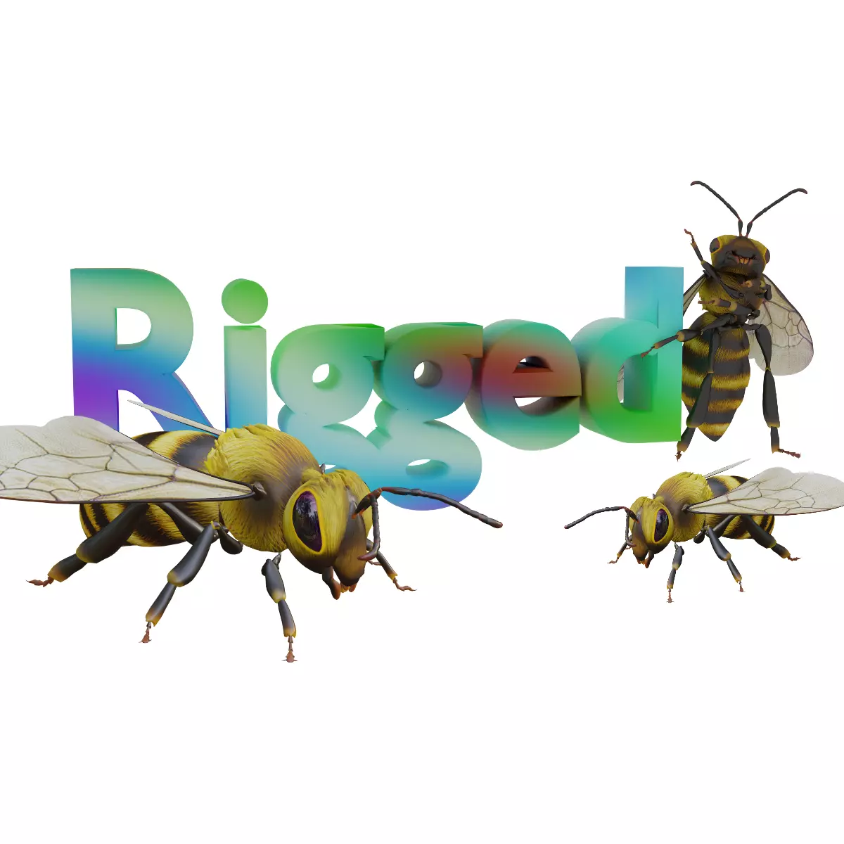 3D animated bee Low-poly 3D model_0