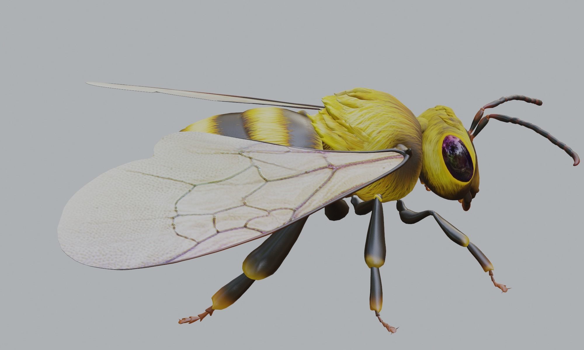 3D animated bee Low-poly 3D model_10