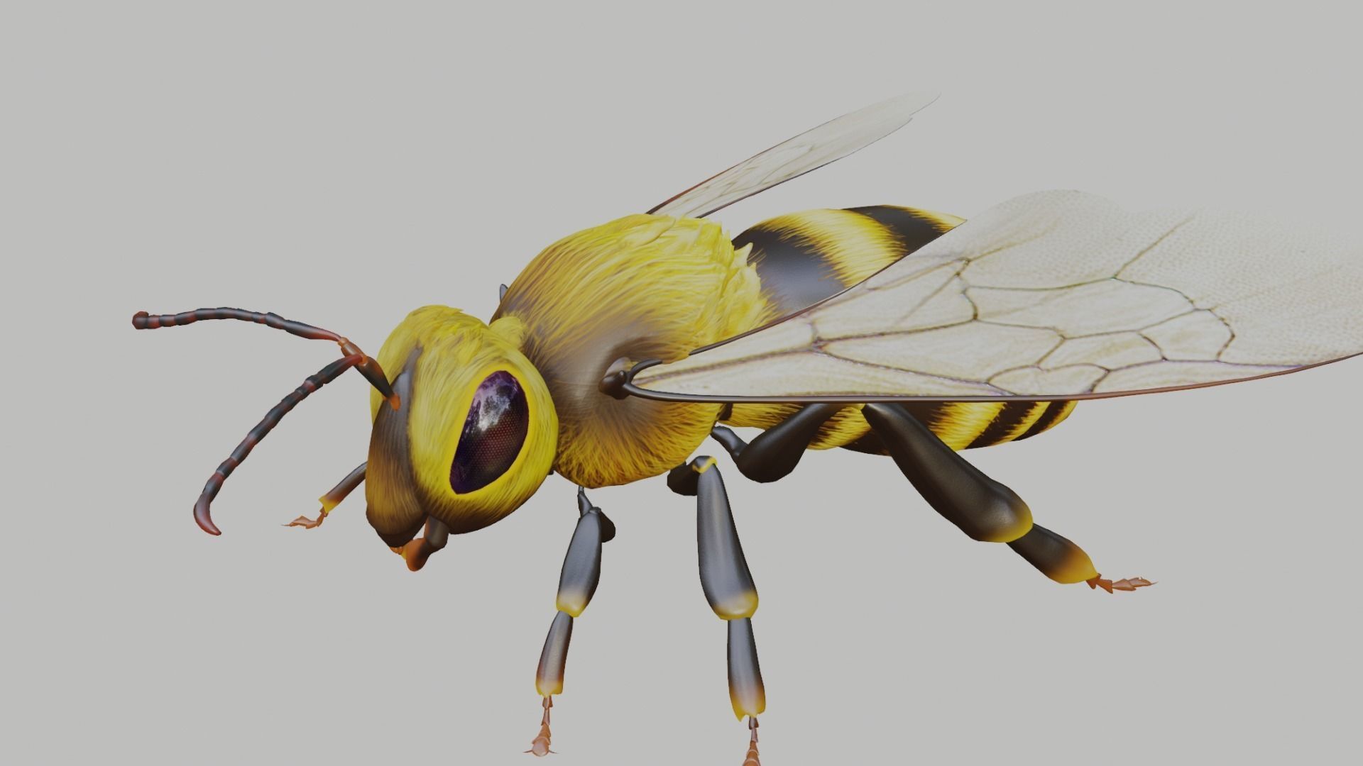 3D animated bee Low-poly 3D model_17