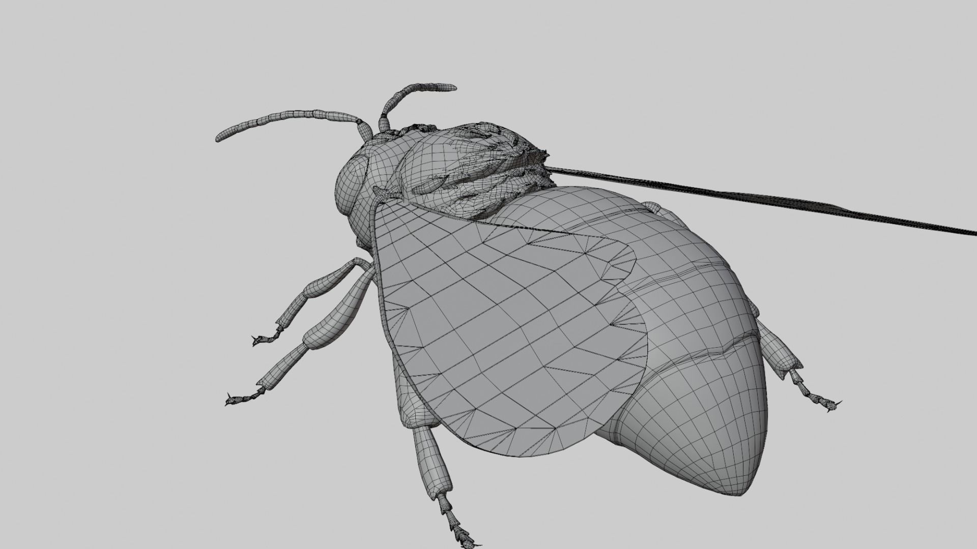 3D animated bee Low-poly 3D model_6
