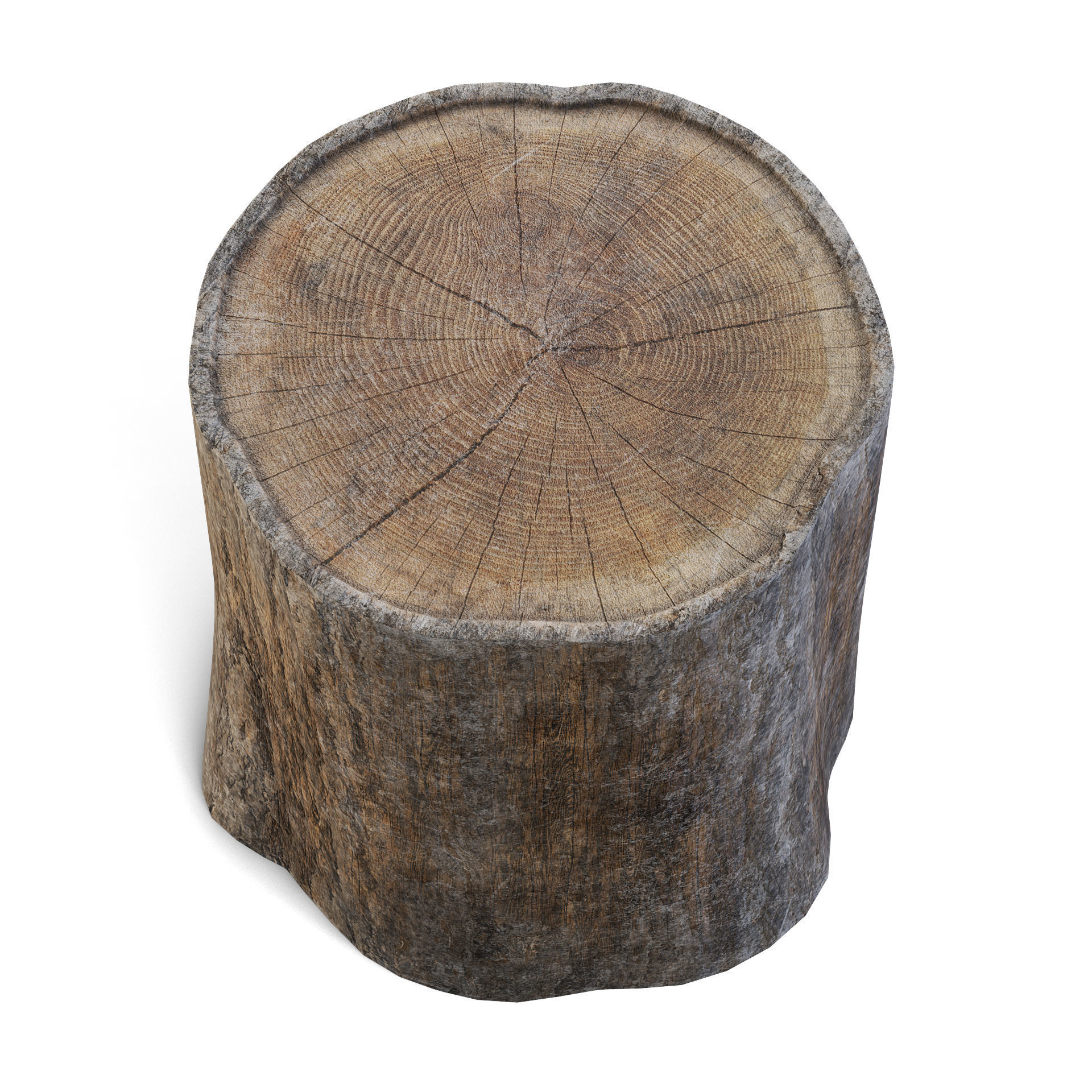 Tree Stump 3D model_7