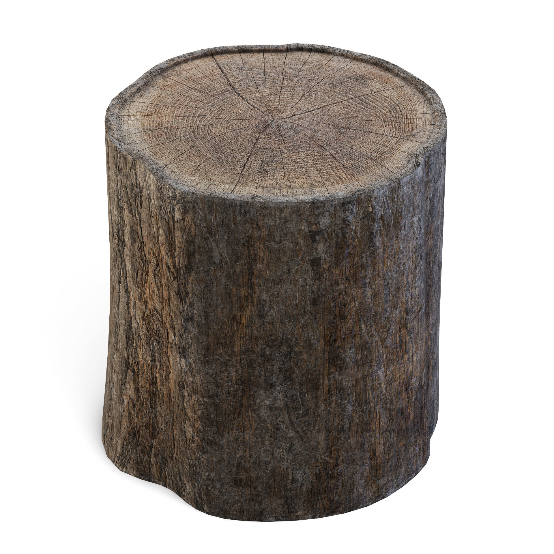 Tree Stump 3D model_5