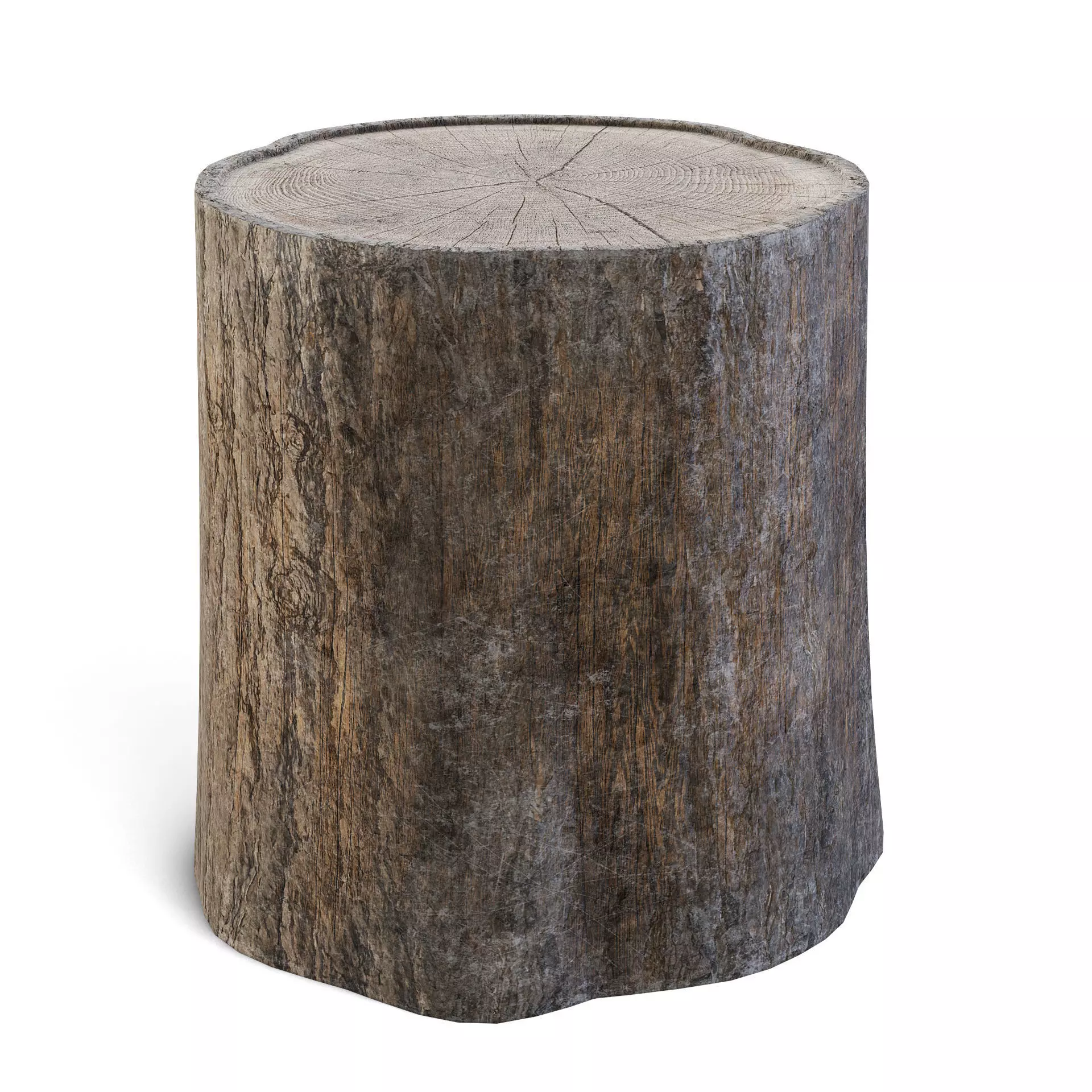 Tree Stump 3D model_0