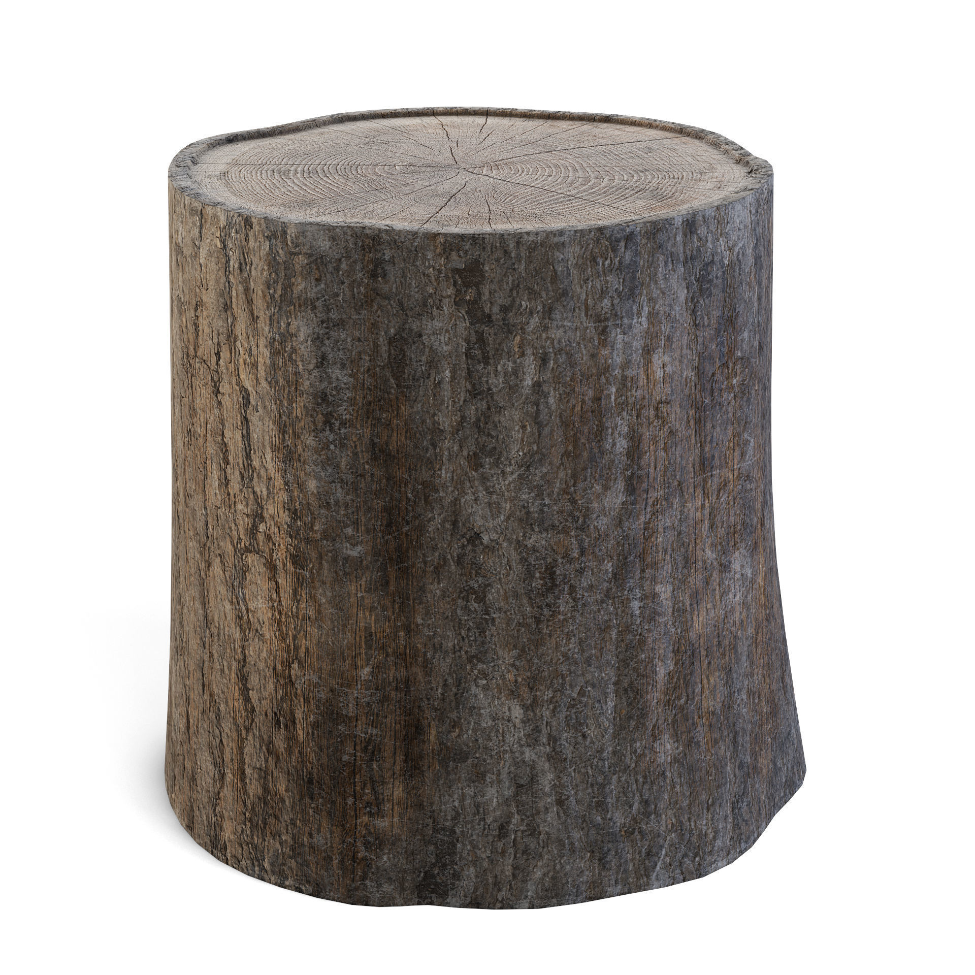 Tree Stump 3D model_2