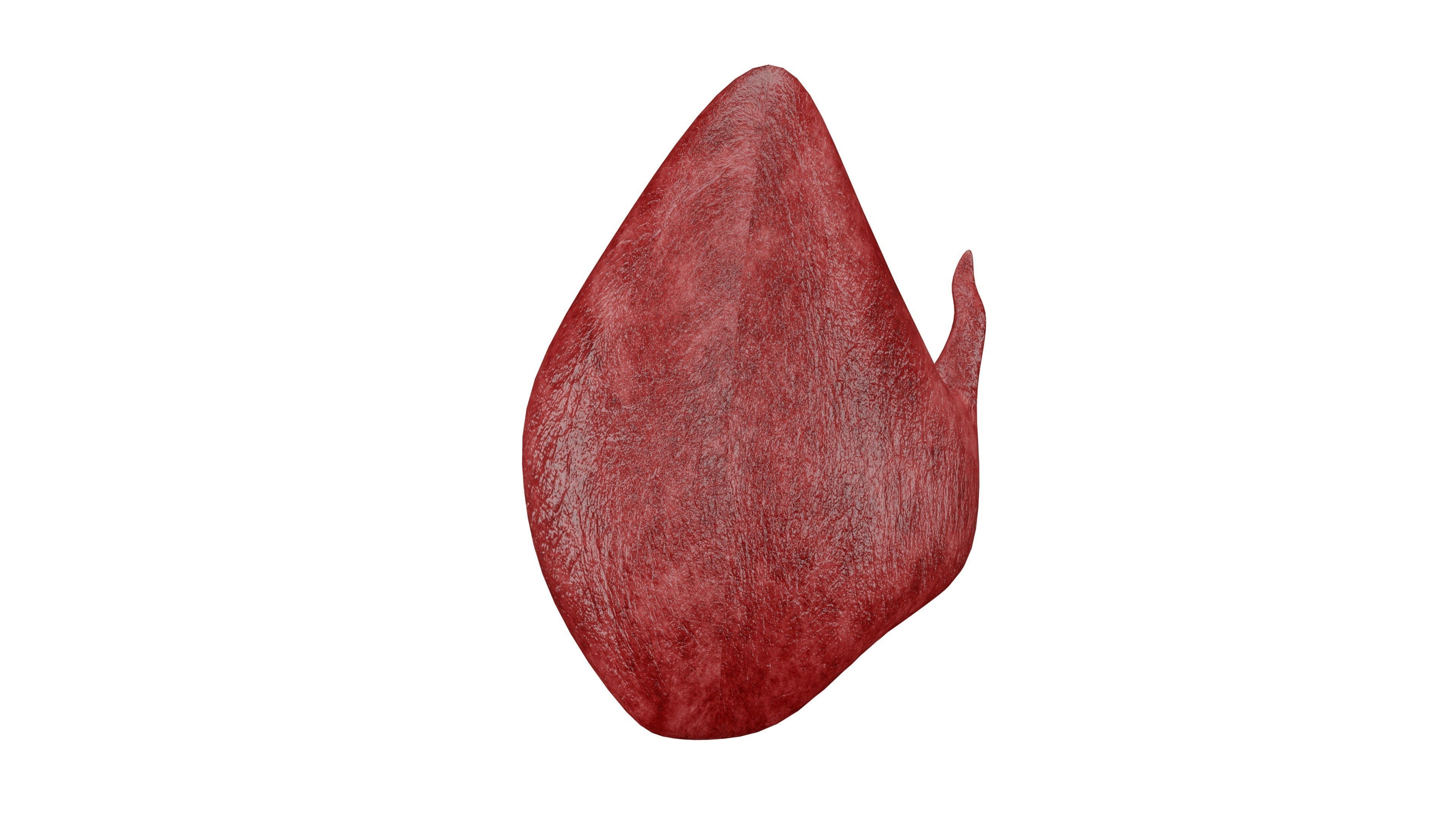 Thyroid 3D Model - Realistic Human Thyroid Anatomy Low-poly 3D model_3