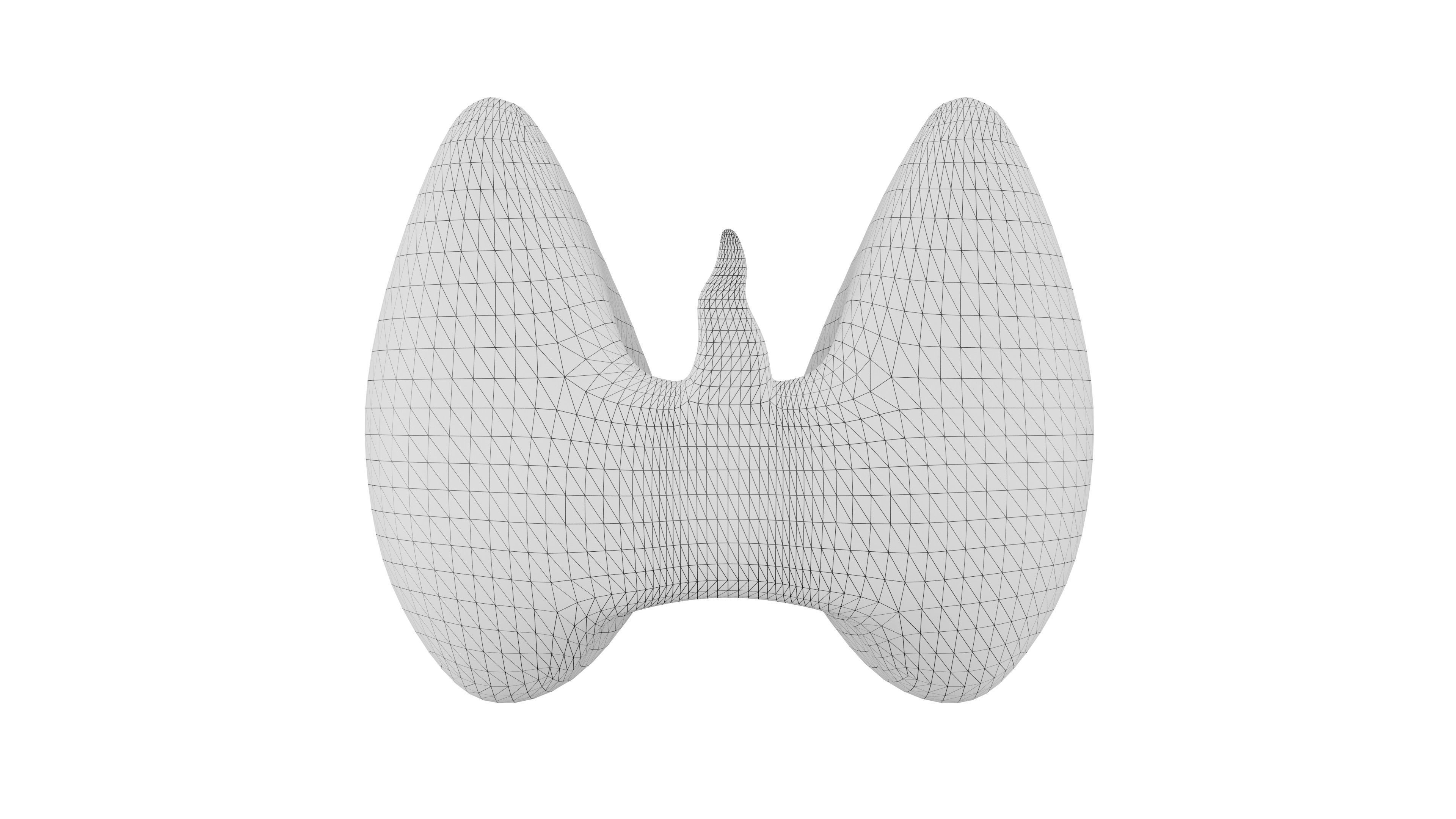 Thyroid 3D Model - Realistic Human Thyroid Anatomy Low-poly 3D model_6