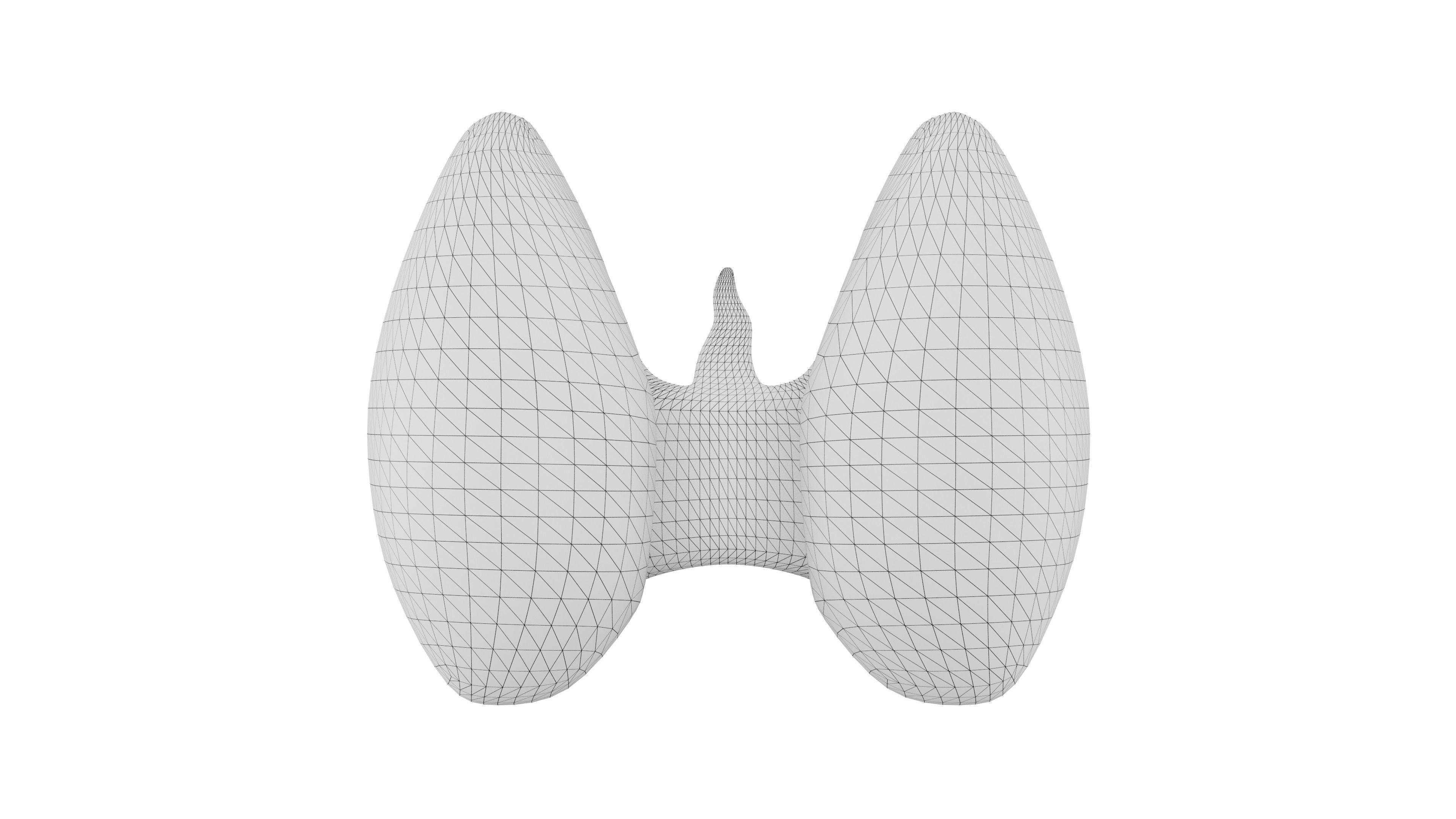 Thyroid 3D Model - Realistic Human Thyroid Anatomy Low-poly 3D model_7