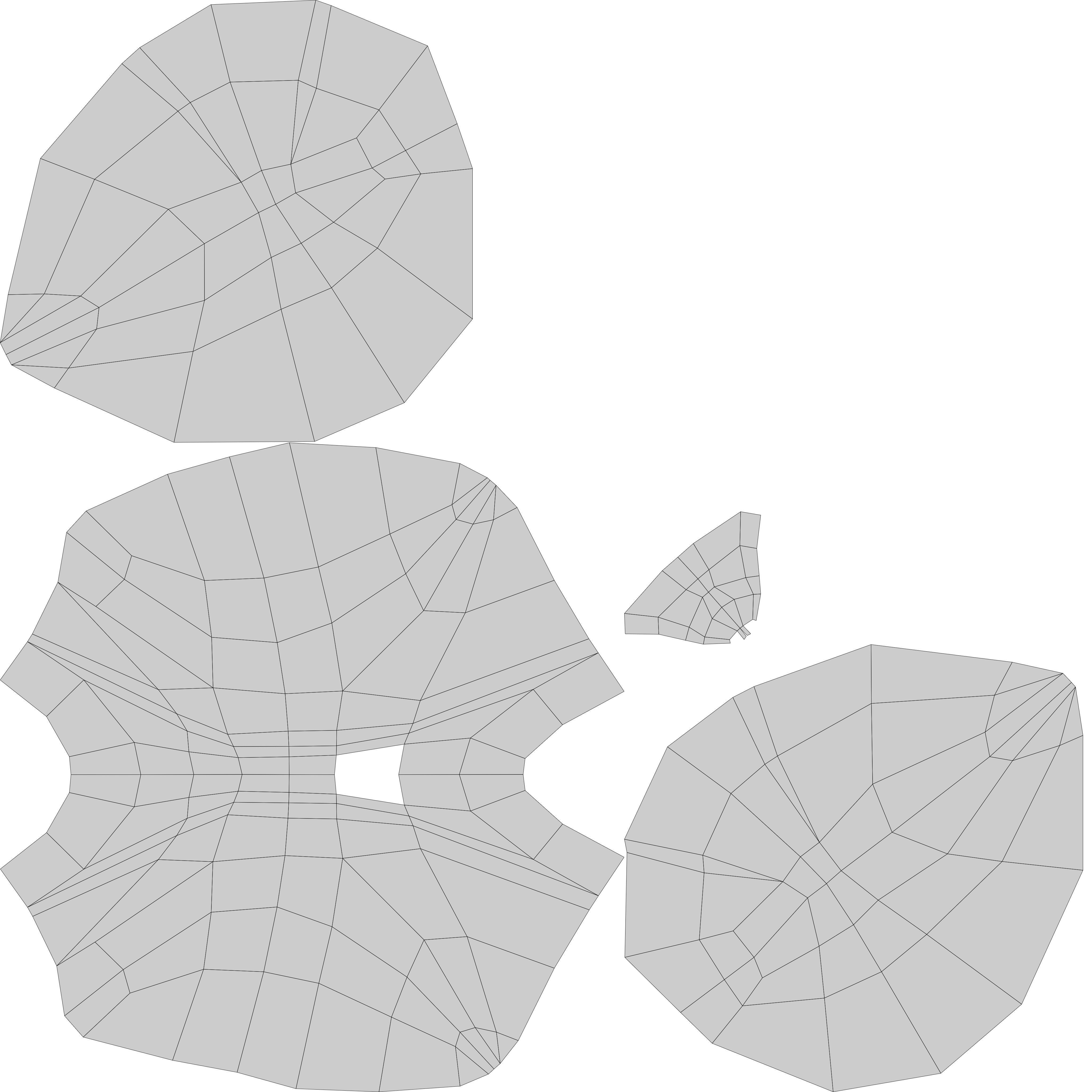 Thyroid 3D Model - Realistic Human Thyroid Anatomy Low-poly 3D model_11