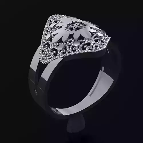 RING SIZE 18 NEW MODEL -GOLD PARK