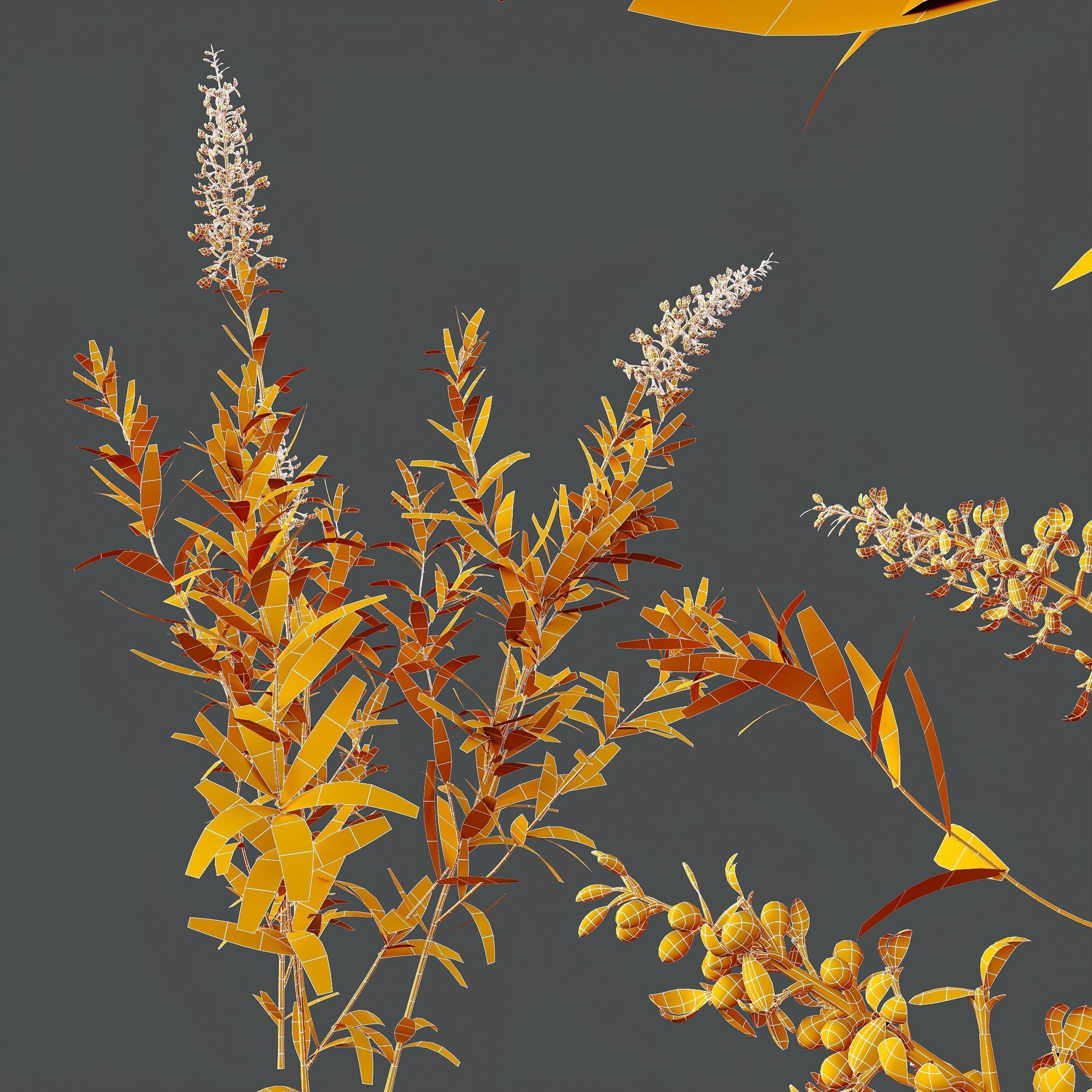 HQ Plants Linaria Vulgaris Yellow Toadflax 3D model_5