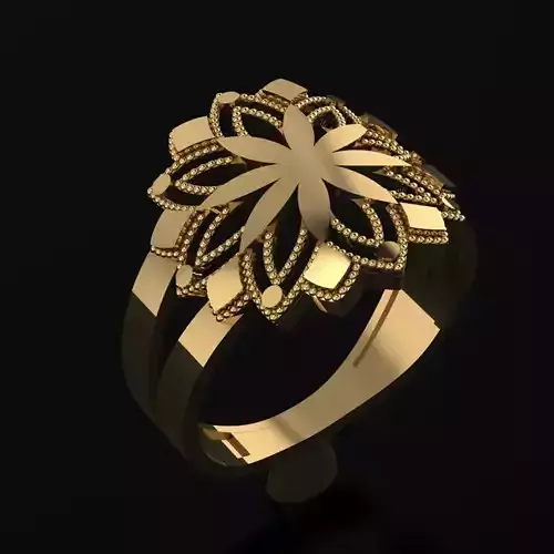 RING SIZE 18 NEW MODEL -GOLD PARK