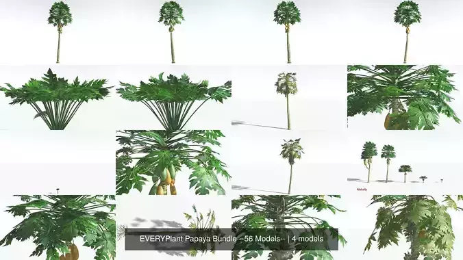 EVERYPlant Papaya Bundle --56 Models--