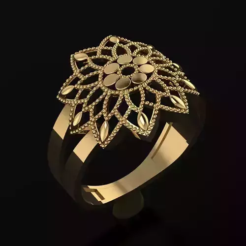 RING SIZE 18 NEW MODEL -GOLD PARK