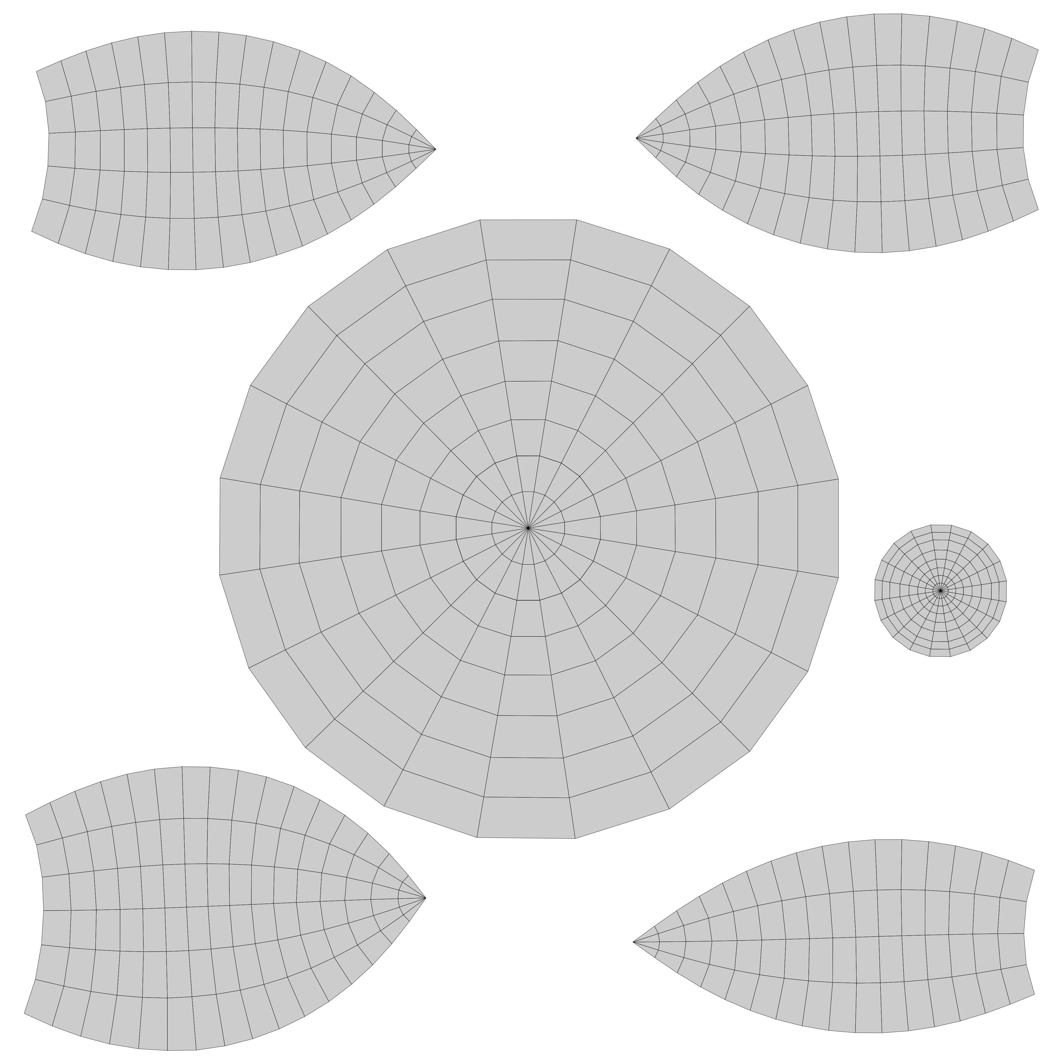 Eye 3D Model - Realistic Human Eye Anatomy Low-poly 3D model_9