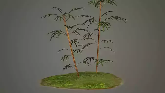 tree bamboo cartoon handpainted visualization stylized plant 3D model