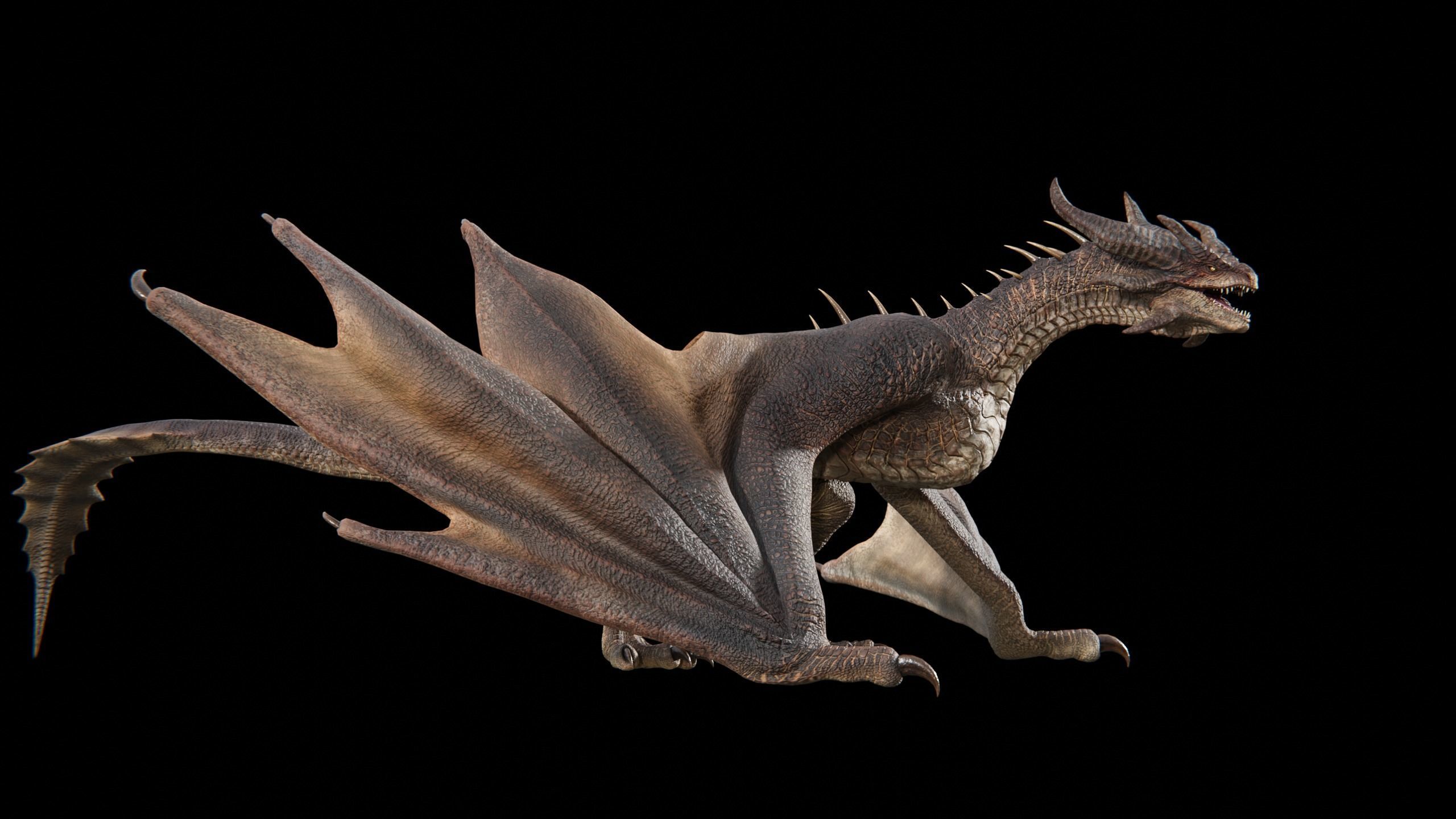Dragon Wyvern Alpha Low-poly 3D model_7