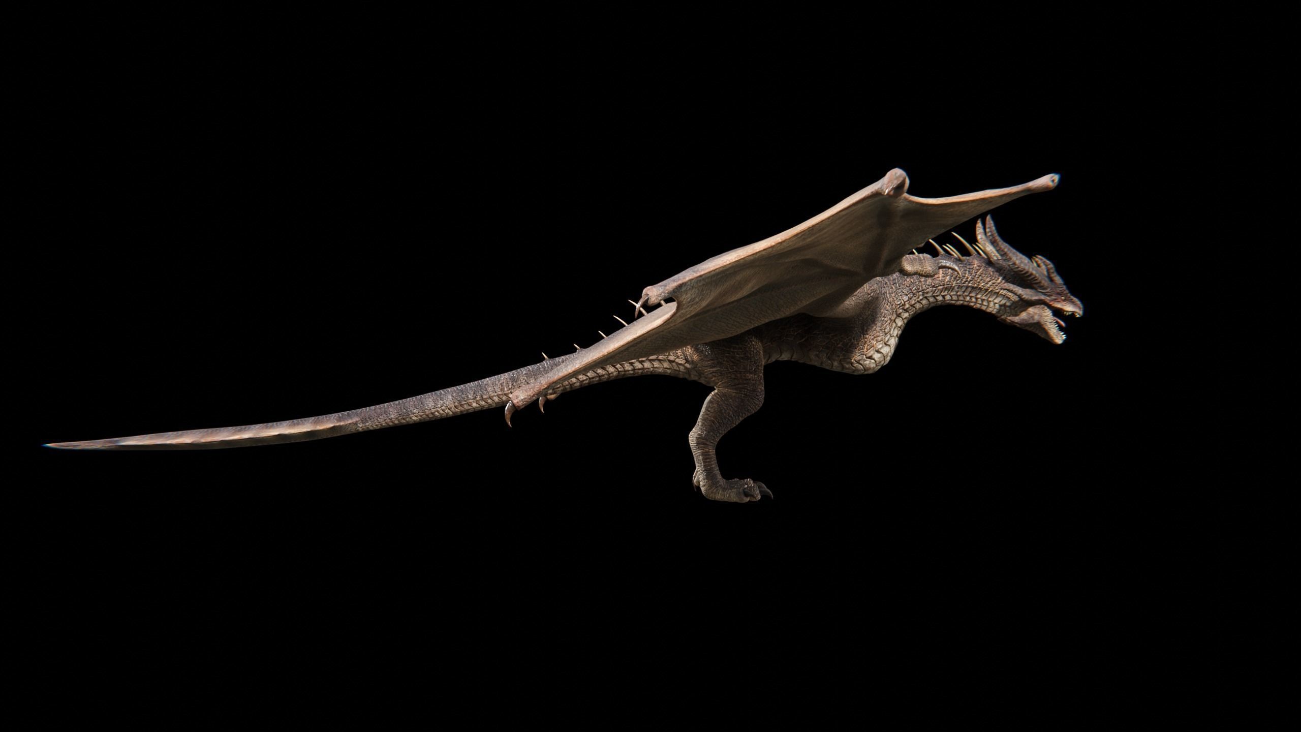 Dragon Wyvern Alpha Low-poly 3D model_28
