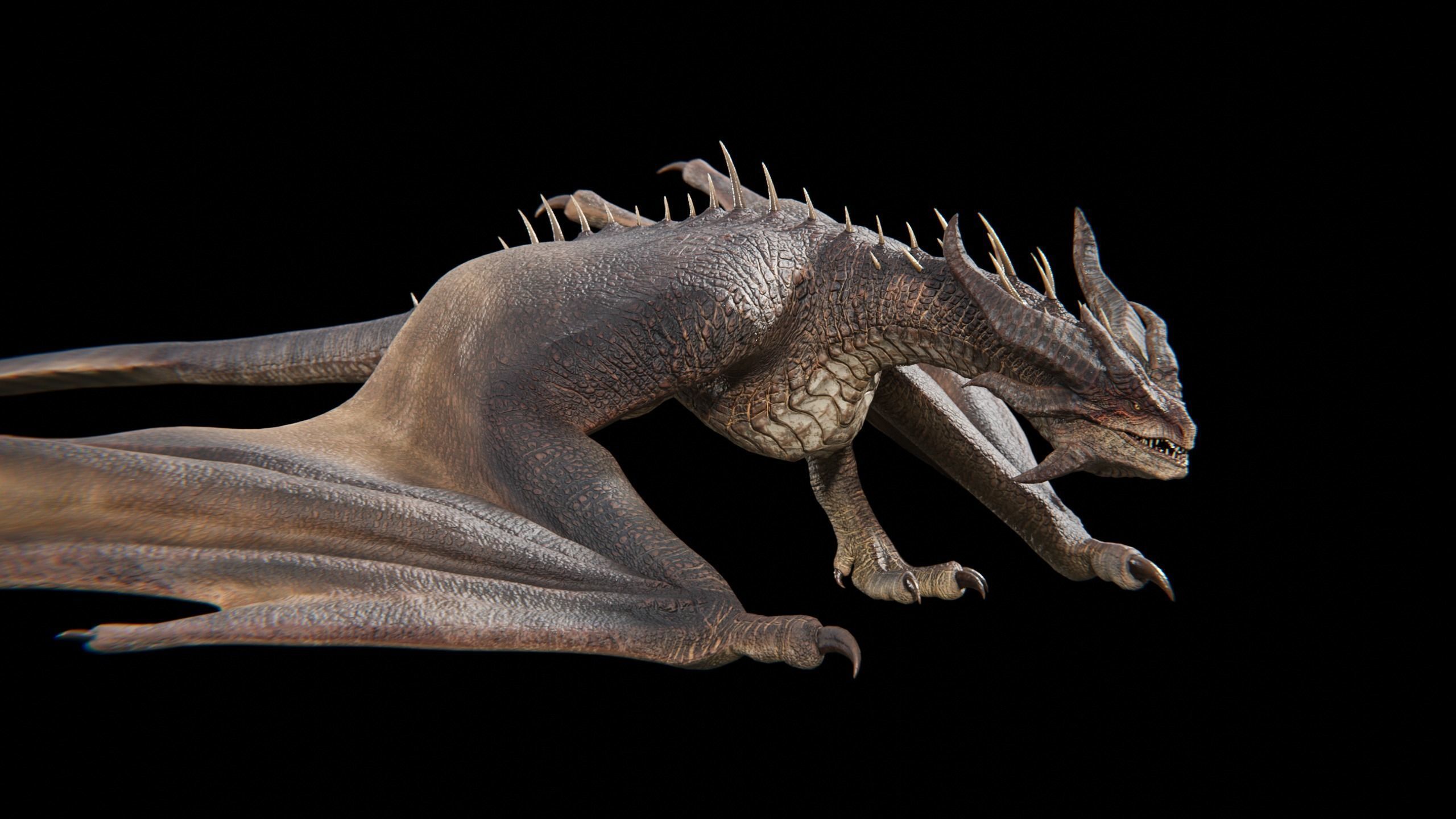 Dragon Wyvern Alpha Low-poly 3D model_18