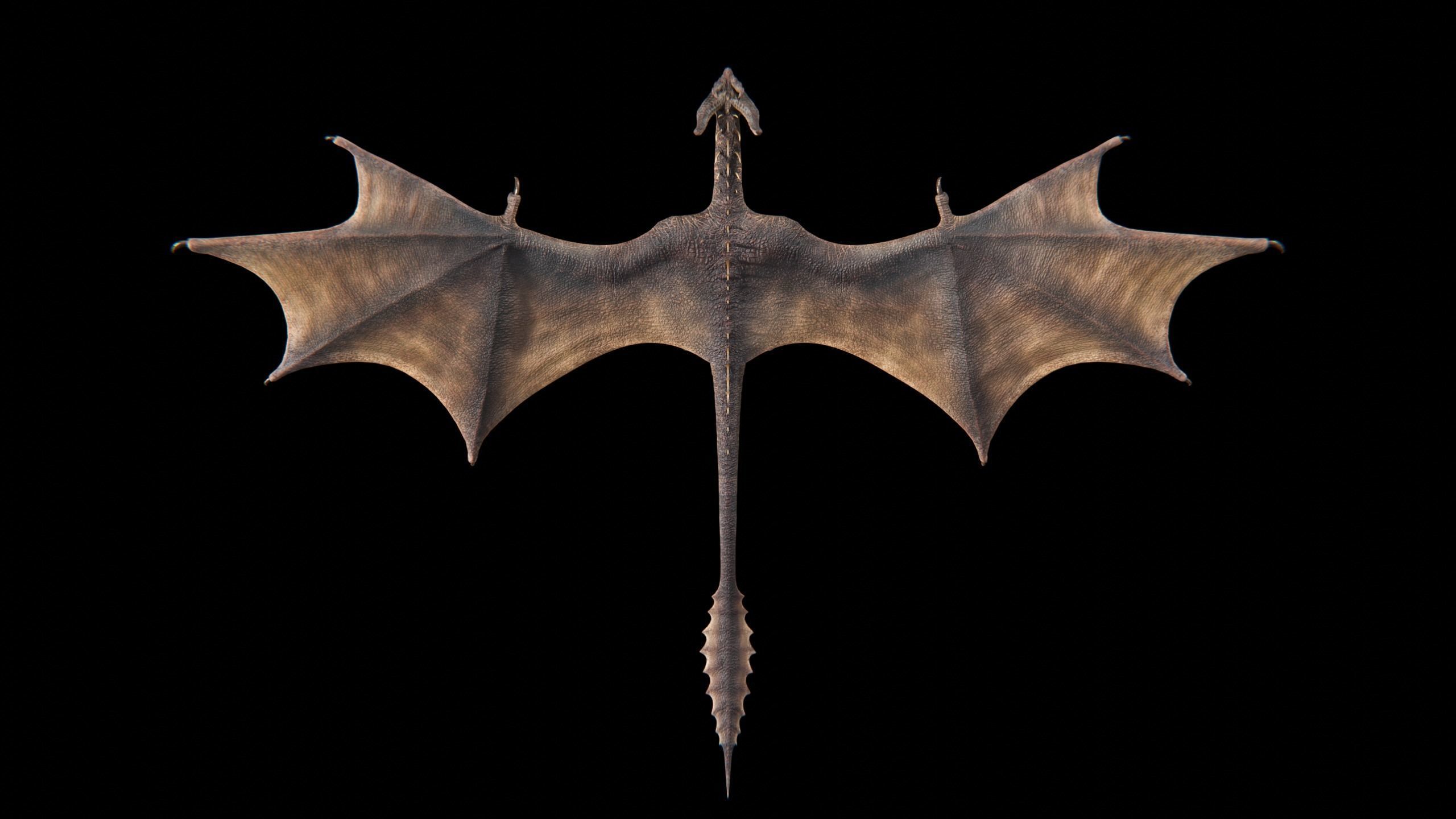 Dragon Wyvern Alpha Low-poly 3D model_22