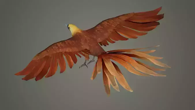 pheasant bird feather wing game hunt hunting wild forest  3D model