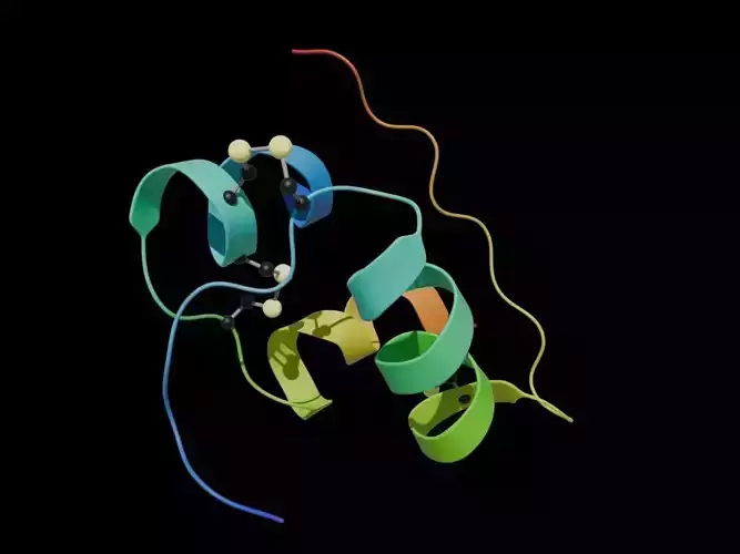 Insulin 3D protein model