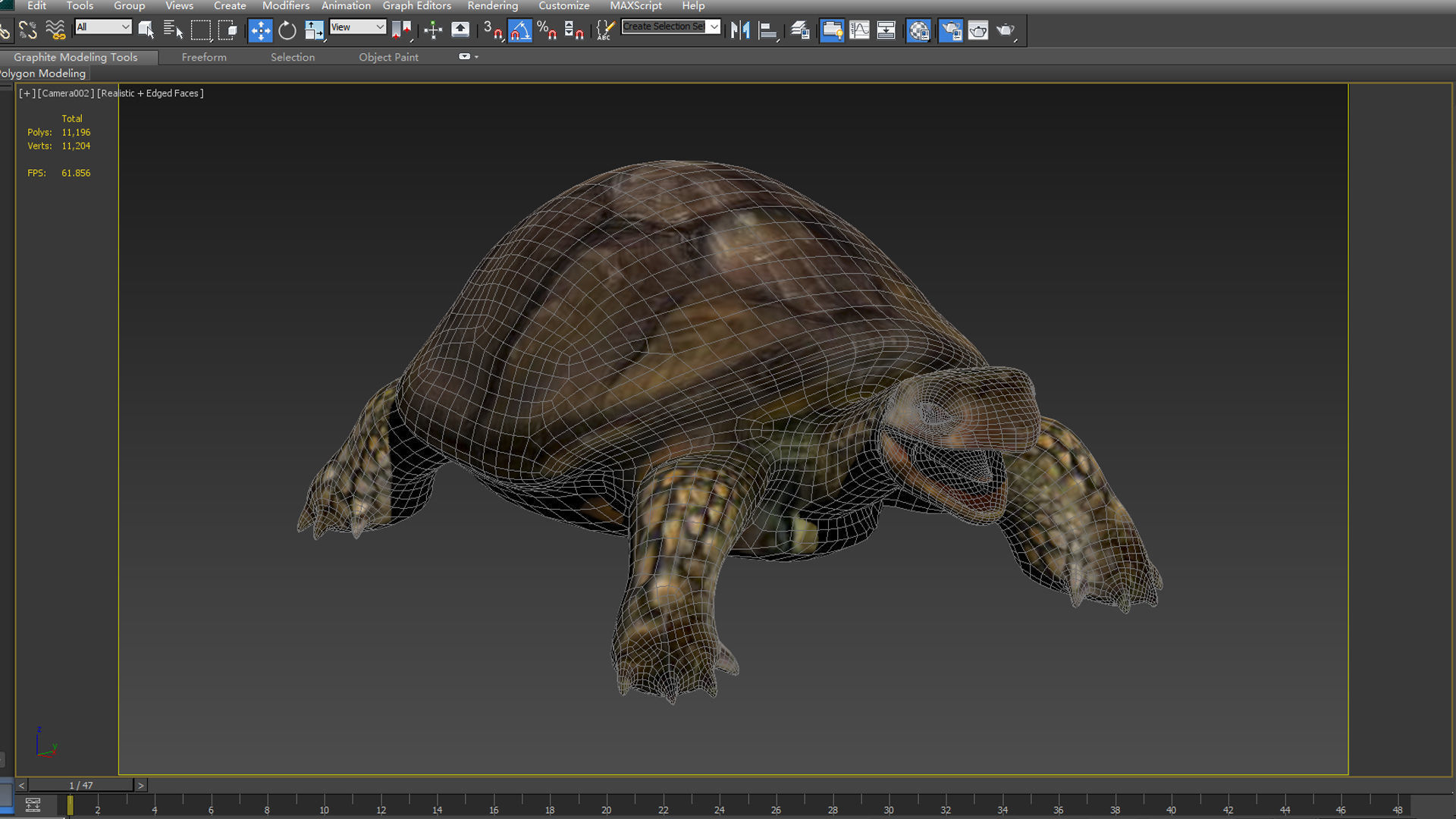 tortoise reptile turtle animal wildlife slow zoo armor  3D model_5