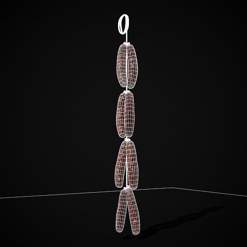 Hanging Touristenwurst Sausages Low-poly 3D model 2