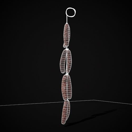 Hanging Touristenwurst Sausages Low-poly 3D model 4