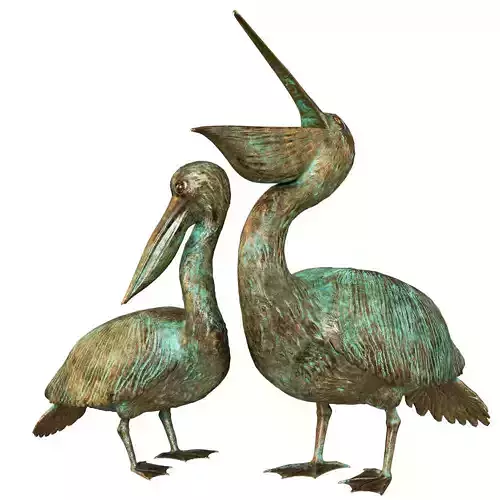 Pelicans