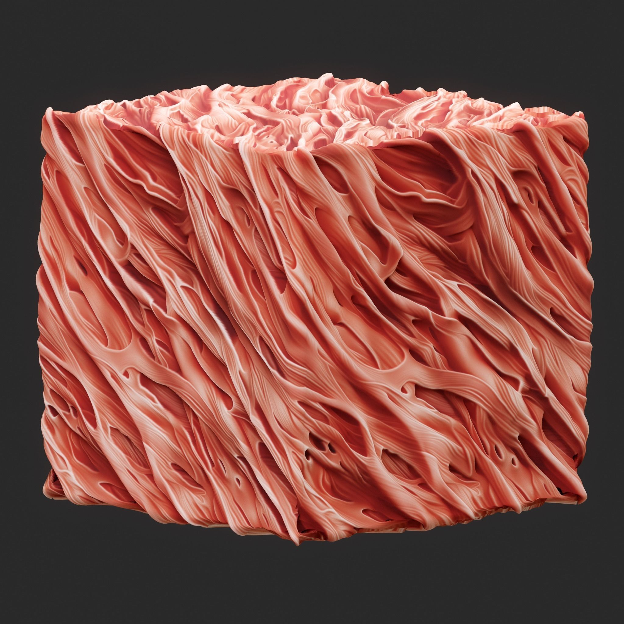 Anatomy Seamless Texture Texture_3