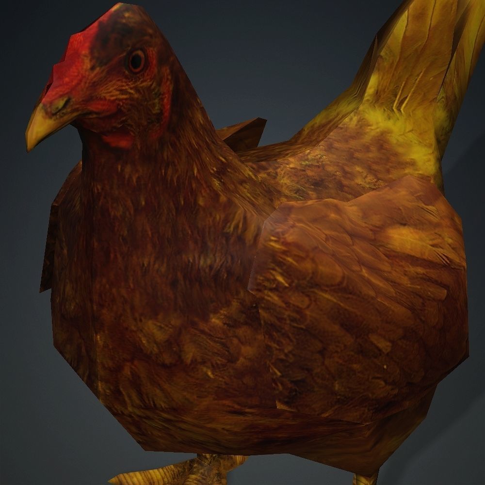 Free low-poly Hen Free low-poly 3D model_2