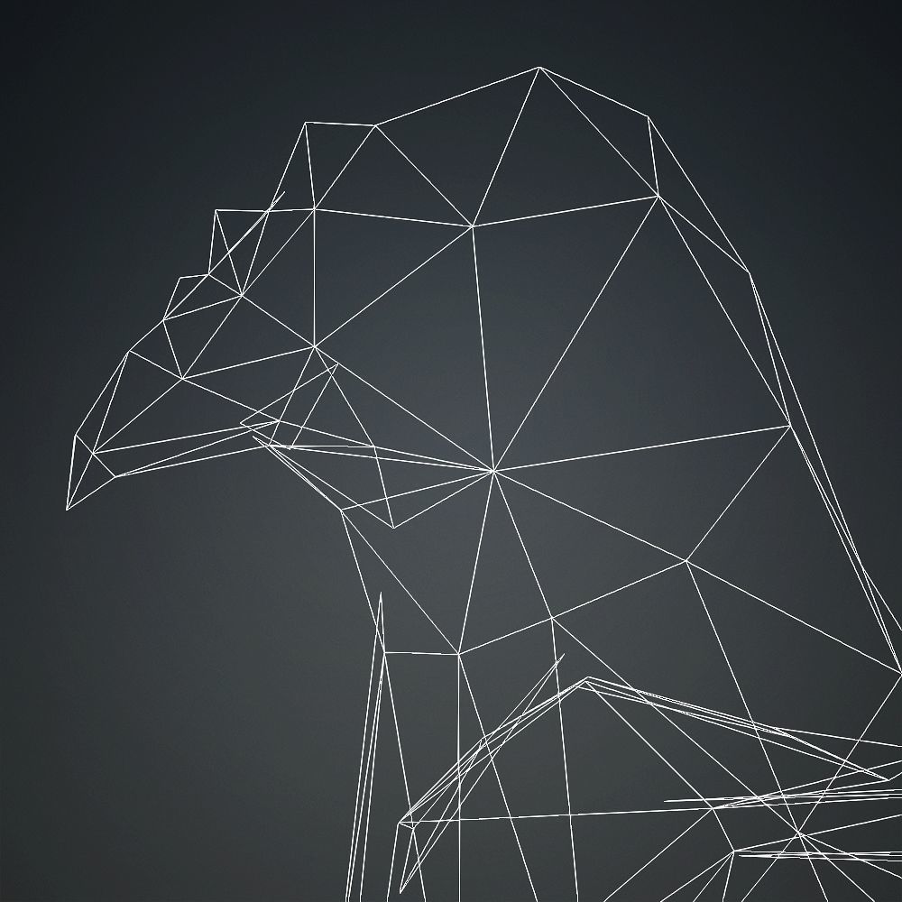 Free low-poly Hen Free low-poly 3D model_4