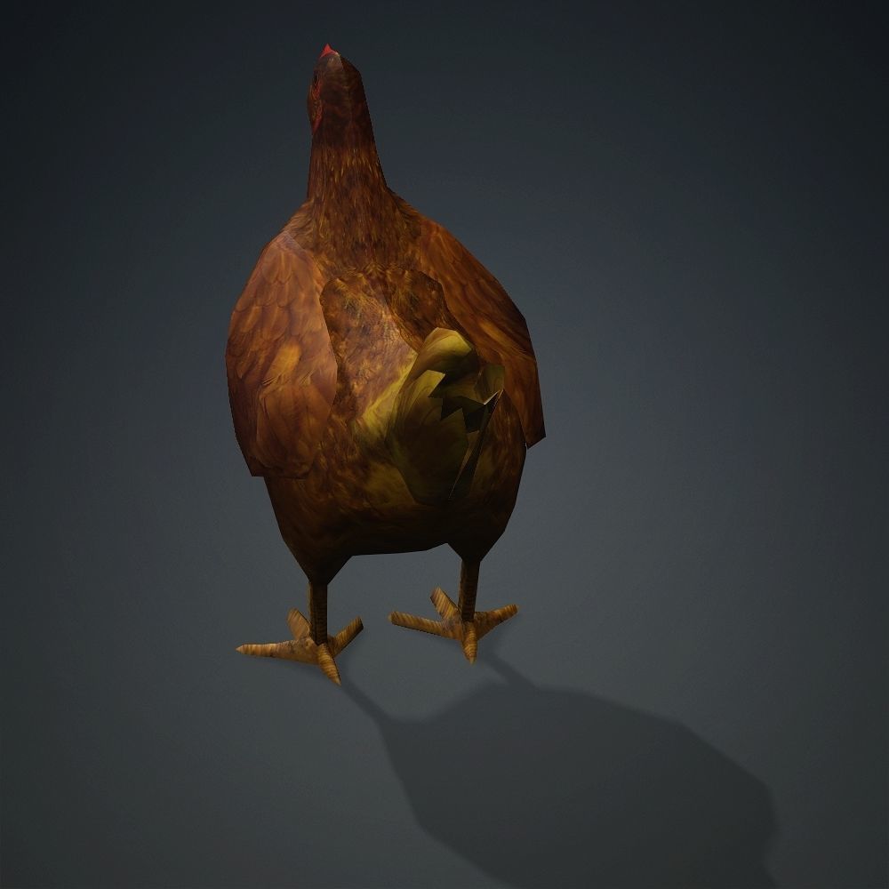 Free low-poly Hen Free low-poly 3D model_5