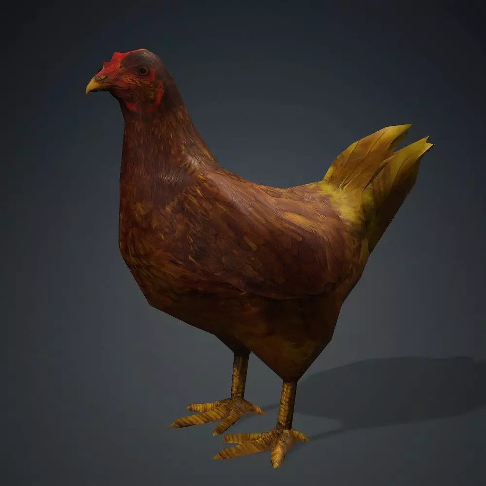 Free low-poly Hen Free low-poly 3D model_0