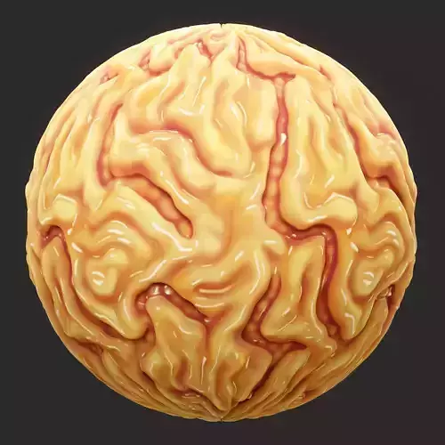 Anatomy Seamless Texture 