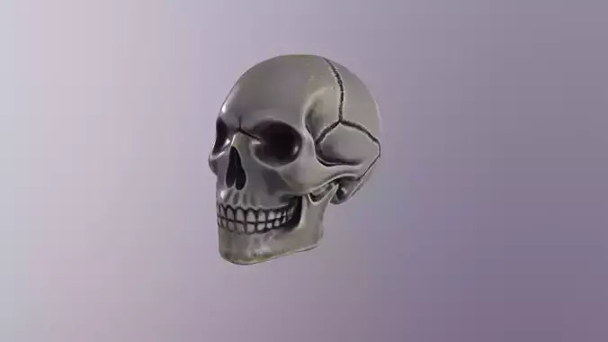 Human skull handpainted 