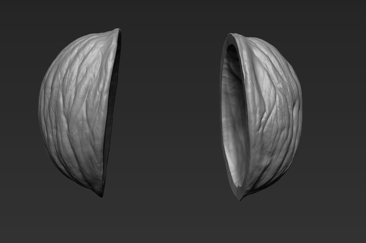 Walnut Pack High Detailed - 3D Print 3D print model_19