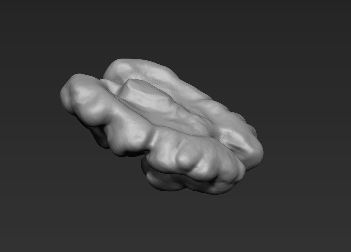 Walnut Pack High Detailed - 3D Print 3D print model_10