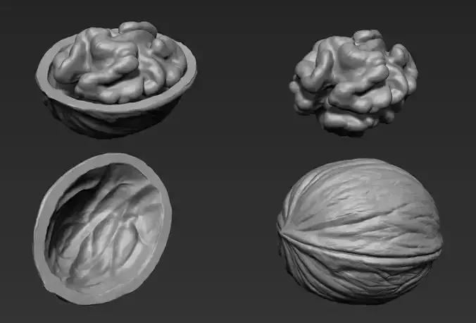 Walnut Pack High Detailed - 3D Print