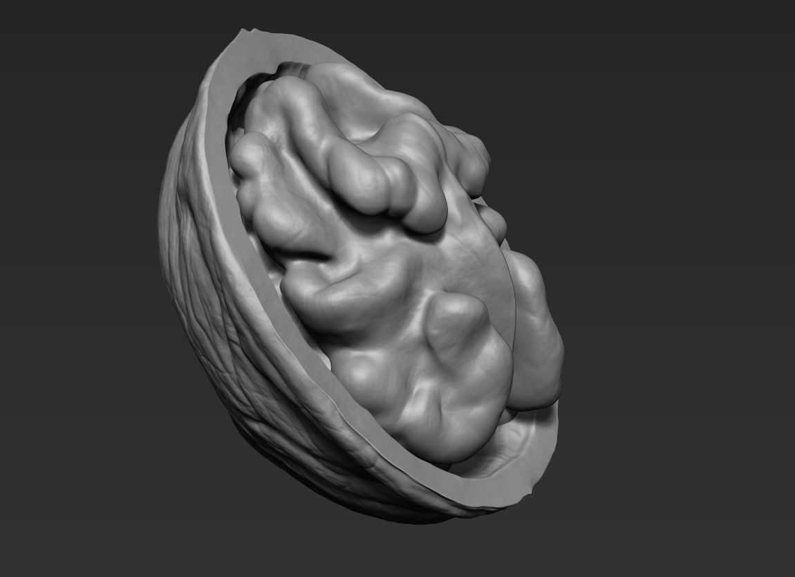 Walnut Pack High Detailed - 3D Print 3D print model_8