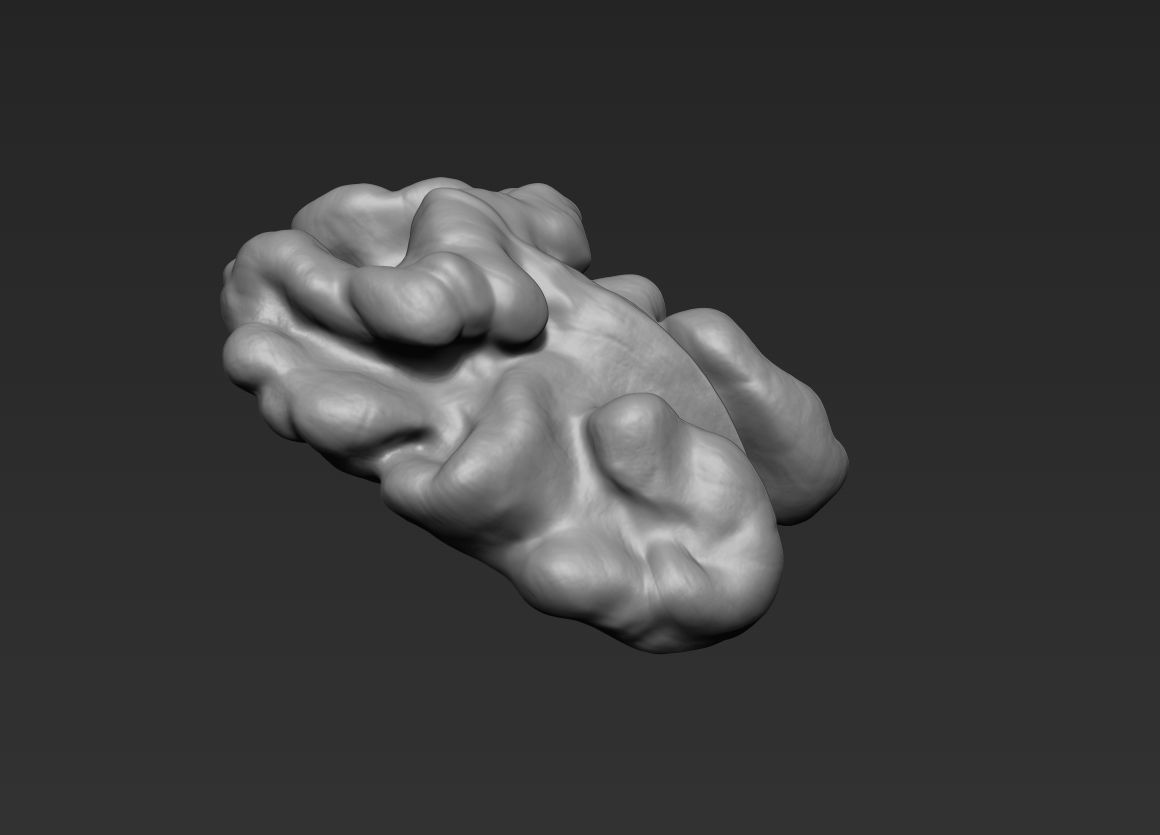 Walnut Pack High Detailed - 3D Print 3D print model_9