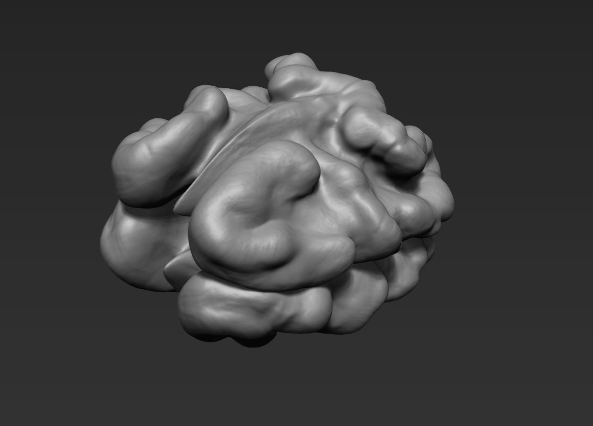 Walnut Pack High Detailed - 3D Print 3D print model_11