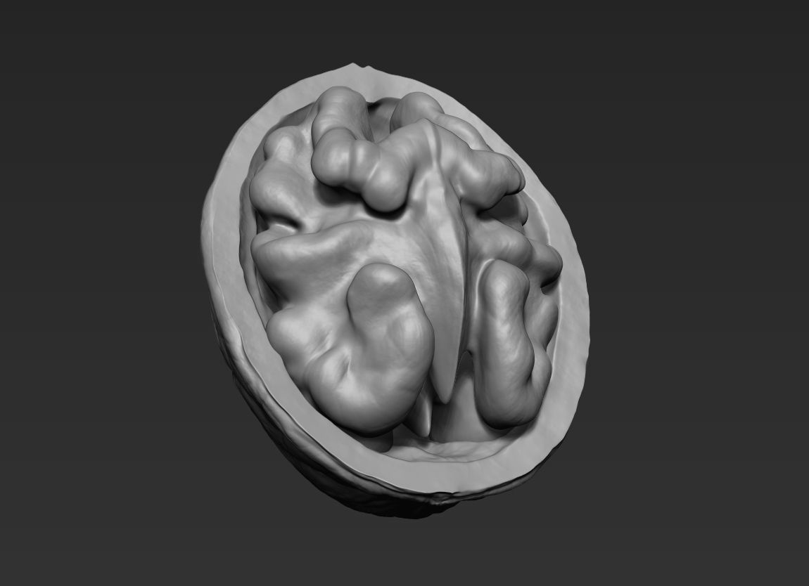 Walnut Pack High Detailed - 3D Print 3D print model_3