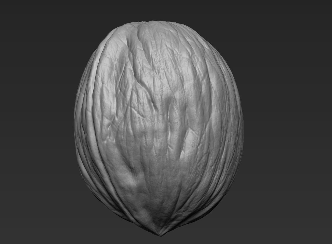 Walnut Pack High Detailed - 3D Print 3D print model_14